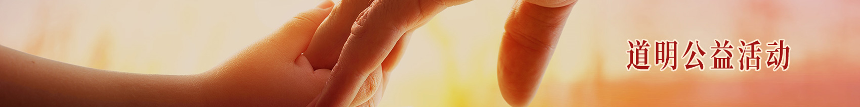 z6com������¼�������