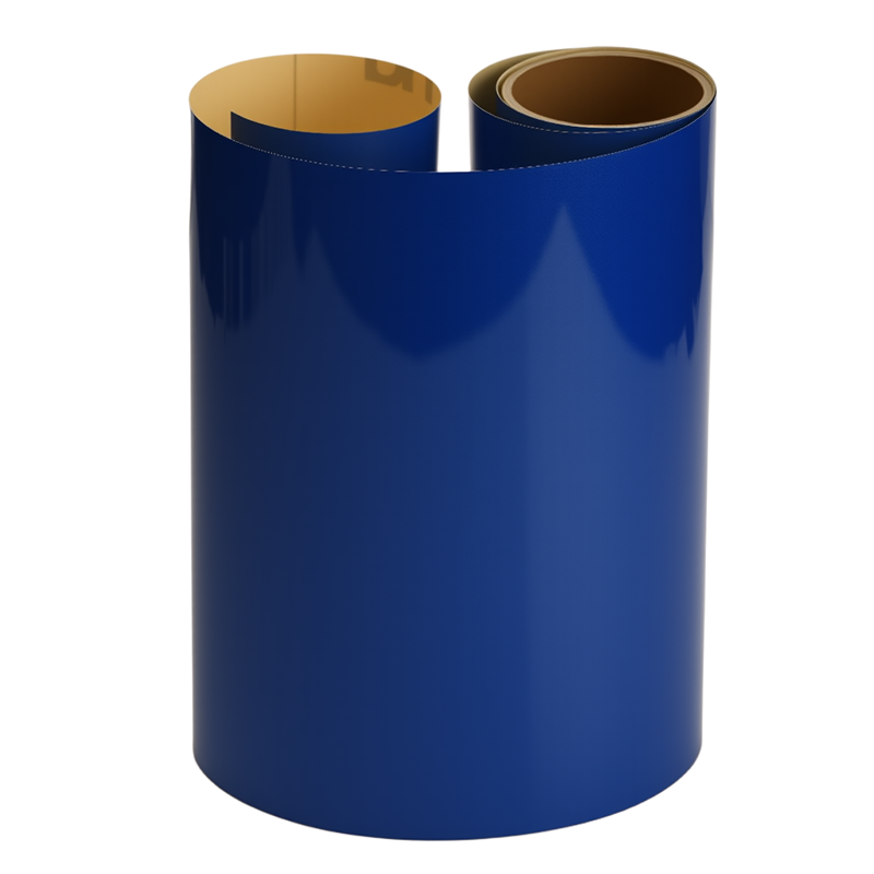 DM5100����΢��PET�͹���Ĥ