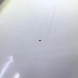 ������ɫ����3