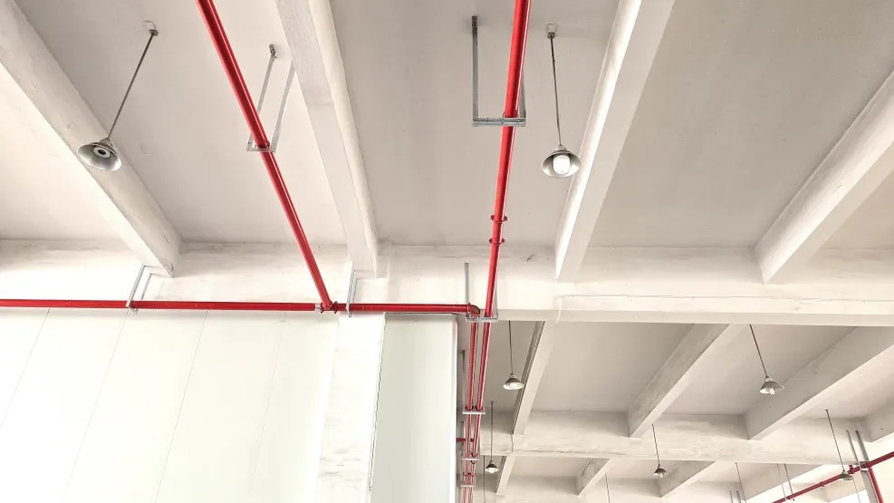 z6com������¼���������1