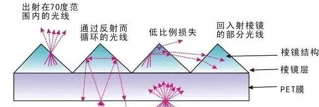 ������ѧĤ14