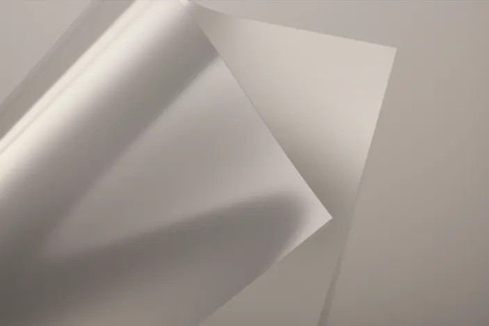 ������ѧĤ6