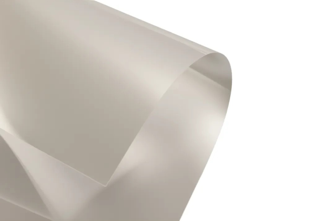 ������ѧĤ7