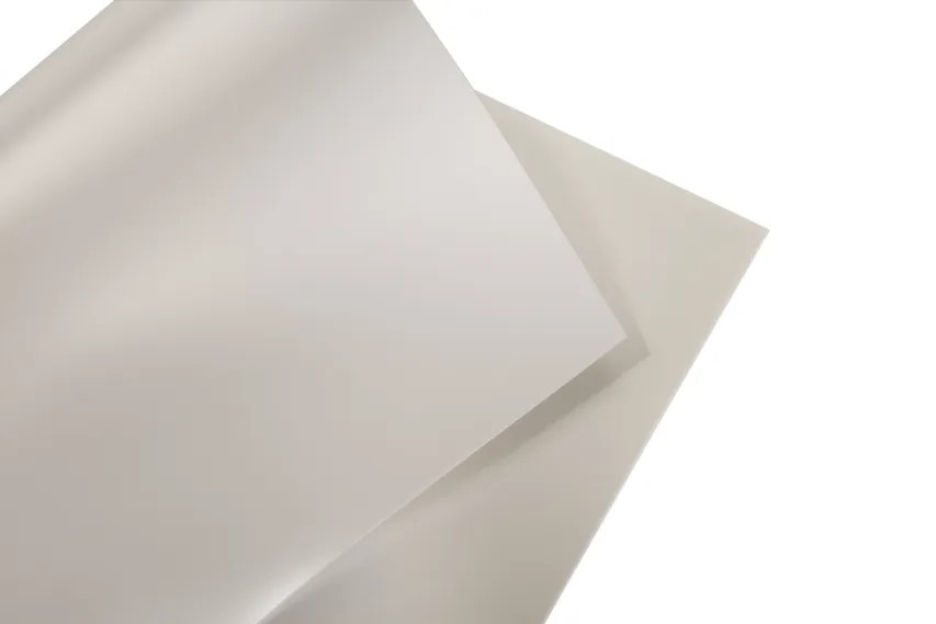 ������ѧĤ8